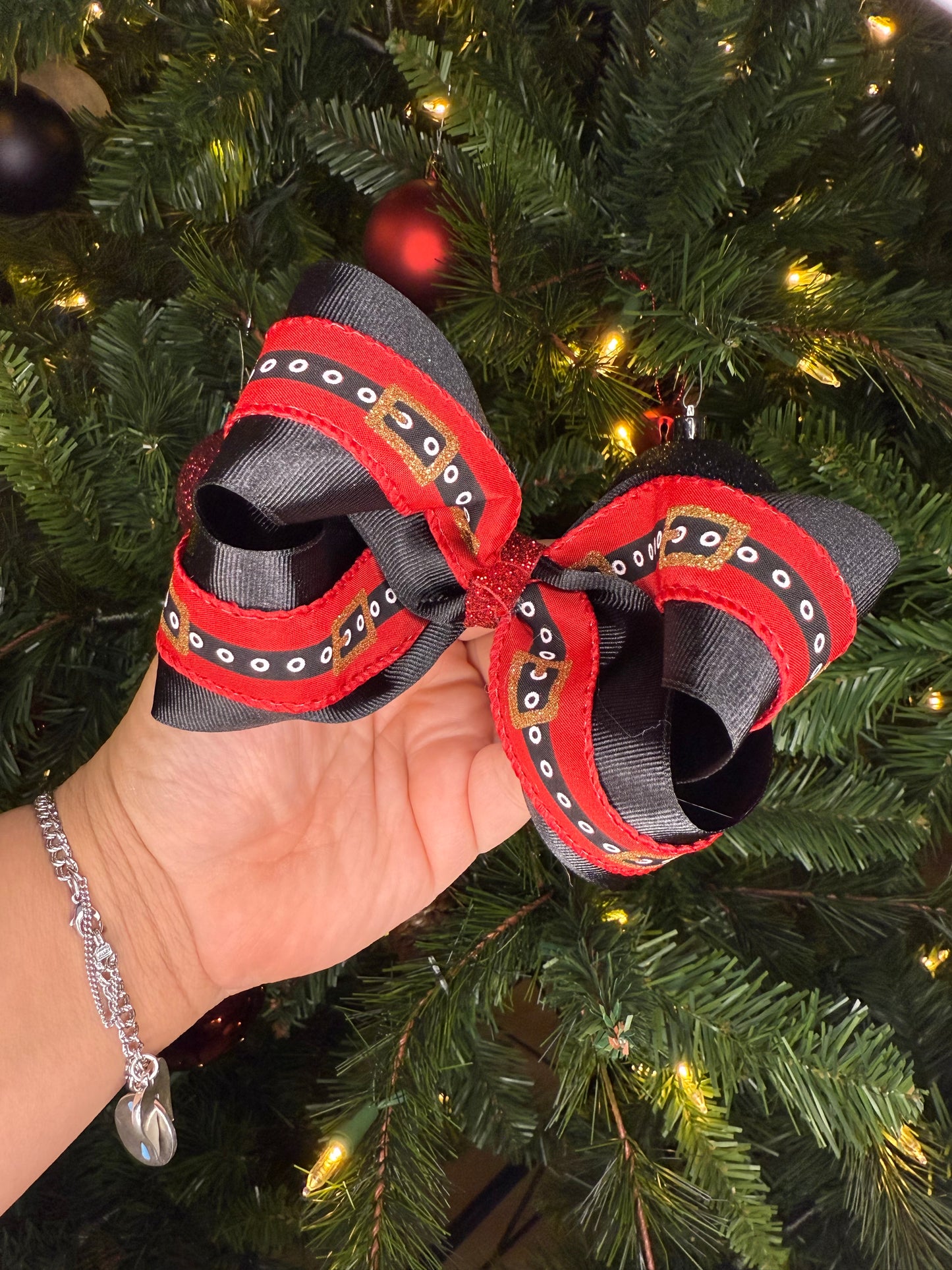 Santa’s Christmas
