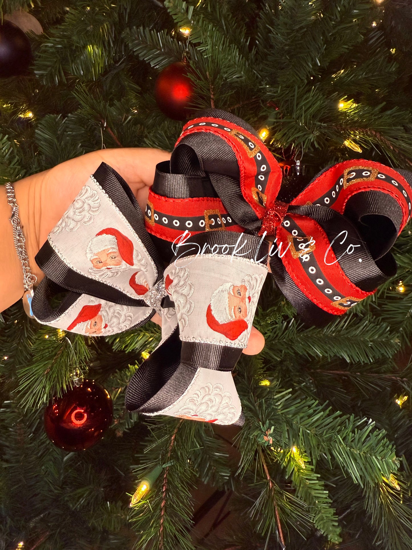 Santa’s Christmas