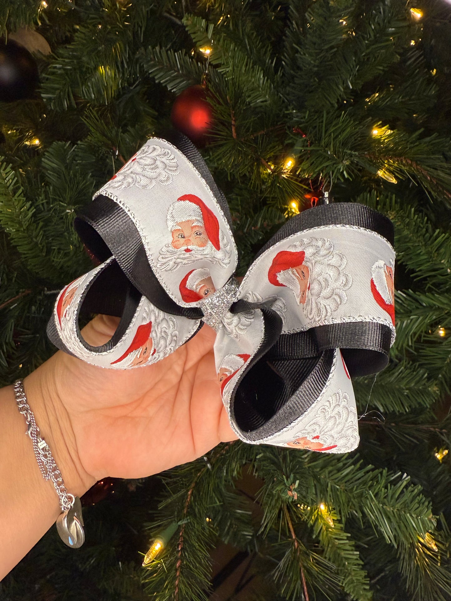 Santa’s Christmas